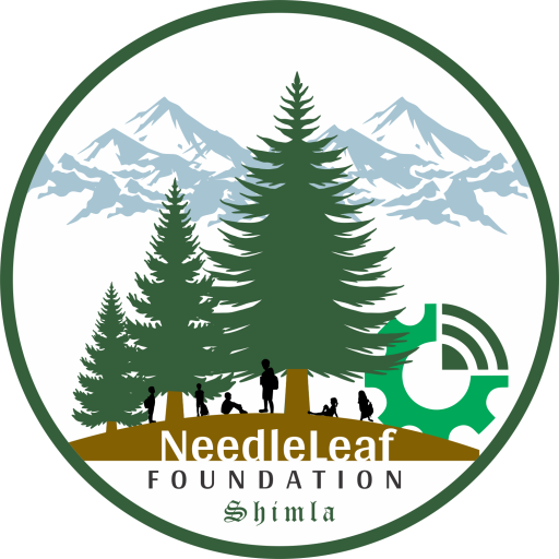 NEEDLELEAF FOUNDATION